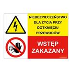 NIEBEZPIECZEŃSTWO DLA ŻYCIA PRZY... - WSTĘP ZAKAZNY!, ZNAK ŁĄCZONY,  płyta PVC 2 mm, 210x148 mm